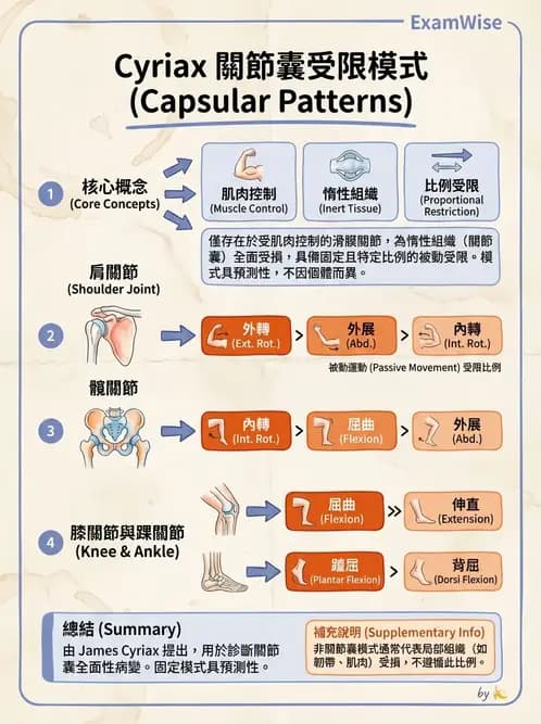 物治 - 鬆動術基礎概念與原則 - AI 圖文解析預覽