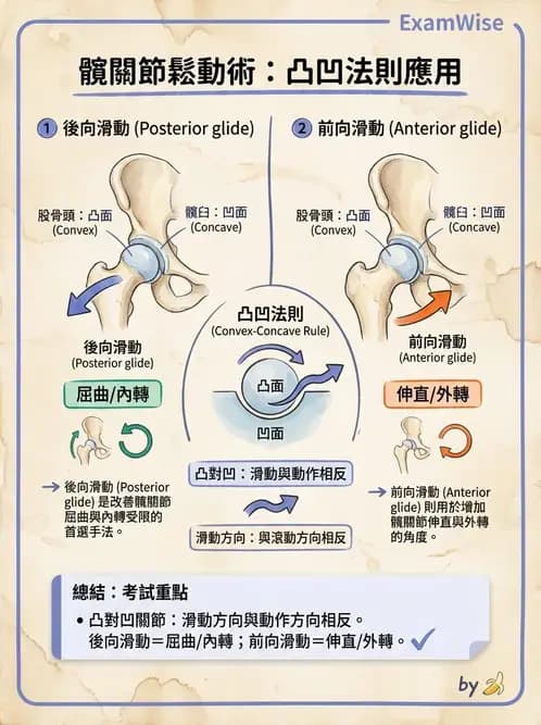 物治 - 鬆動術臨床應用 - AI 圖文解析預覽