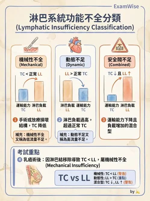 物治 - 淋巴水腫與徒手淋巴引流 - AI 圖文解析預覽