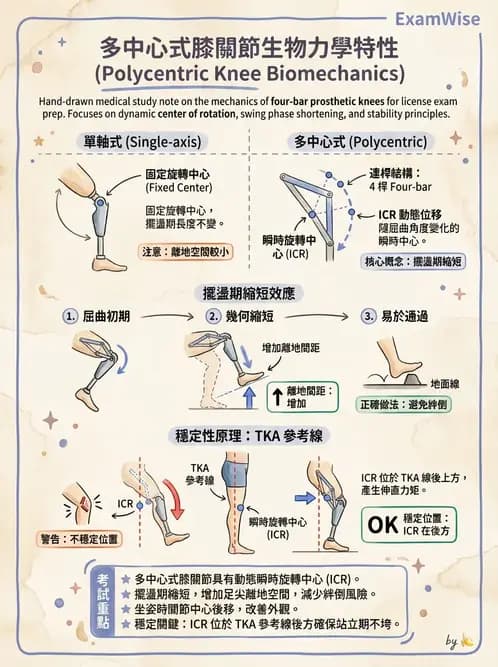 物治 - 義肢 - AI 圖文解析預覽