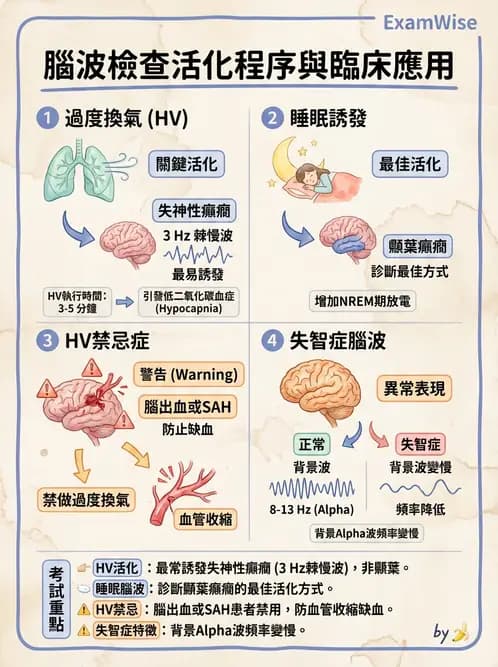 醫檢師 - 腦電圖檢查 - AI 圖文解析預覽