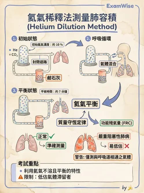 醫檢師 - 肺功能基礎與指標 - AI 圖文解析預覽