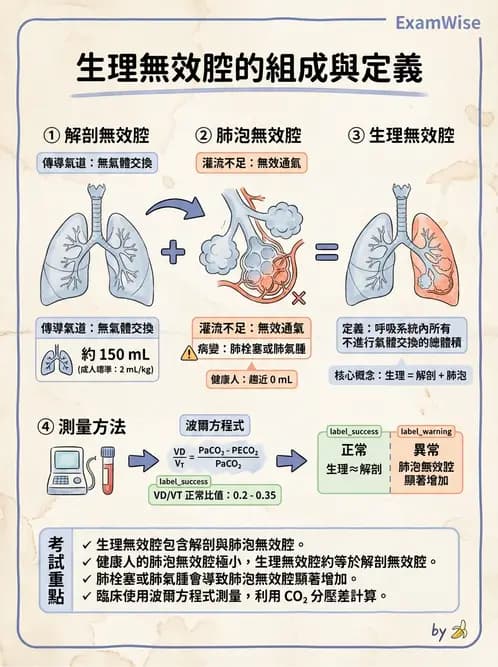 醫檢師 - 肺功能判讀與氣體交換 - AI 圖文解析預覽