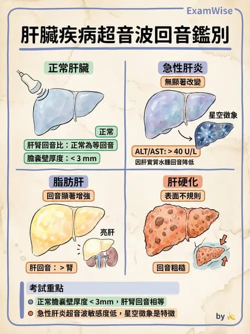 醫檢師 - 超音波檢查 - AI 圖文解析預覽