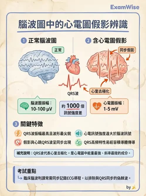 醫檢師 - 腦電圖檢查 - AI 圖文解析預覽