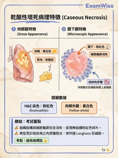 醫檢師 - 細胞傷害、發炎與修復 - AI 圖文解析預覽
