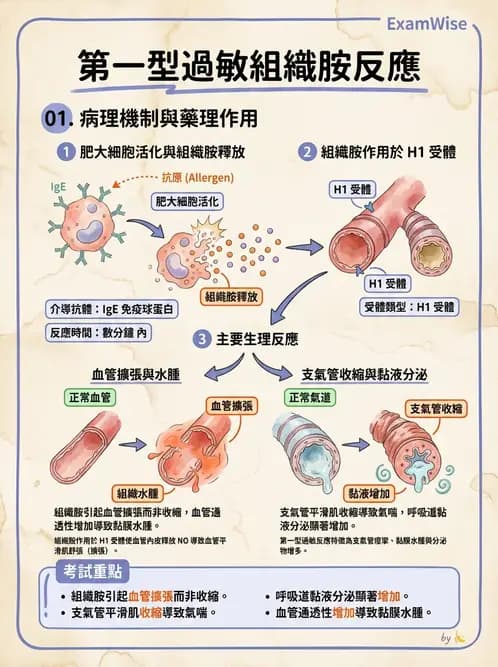 醫檢師 - 免疫疾病 - AI 圖文解析預覽
