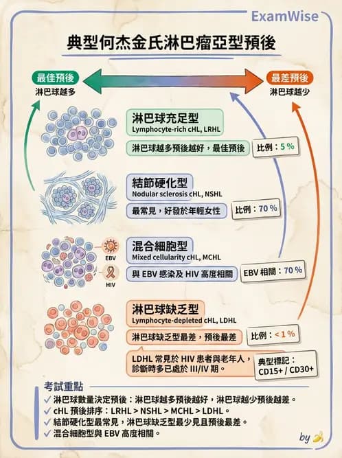 醫檢師 - 造血系統疾病 - AI 圖文解析預覽