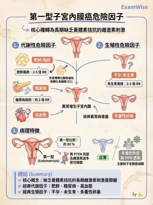 醫檢師 - 乳房及女性生殖疾病 - AI 圖文解析預覽