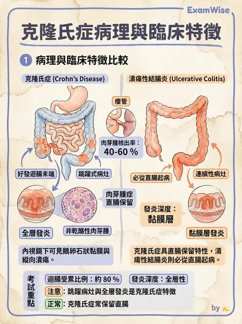 醫檢師 - 消化肝膽疾病 - AI 圖文解析預覽