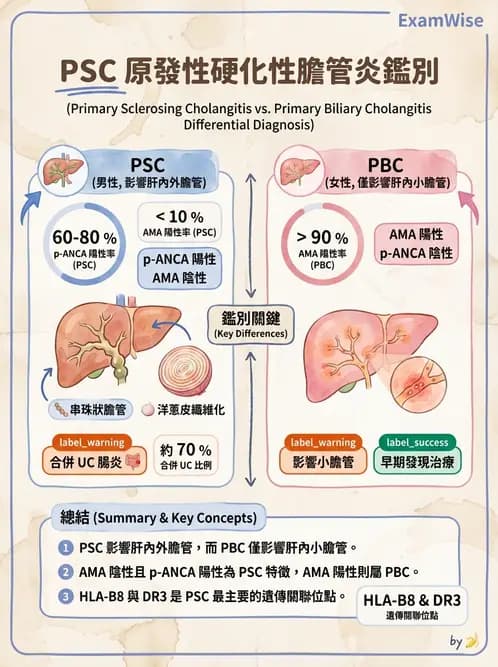 醫檢師 - 消化肝膽疾病 - AI 圖文解析預覽
