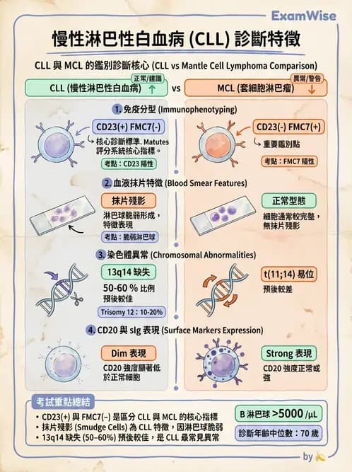 醫檢師 - 淋巴瘤、漿細胞疾病與白血球異常 - AI 圖文解析預覽