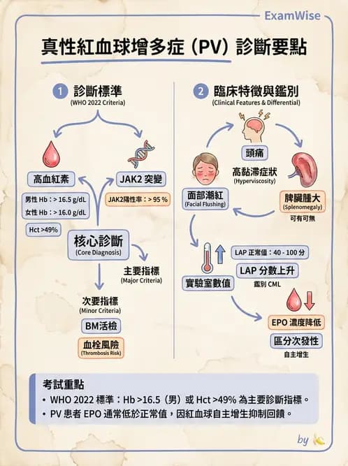 醫檢師 - 慢性血液腫瘤與骨髓增生疾患 - AI 圖文解析預覽