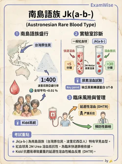醫檢師 - 紅血球抗原與血型系統 - AI 圖文解析預覽