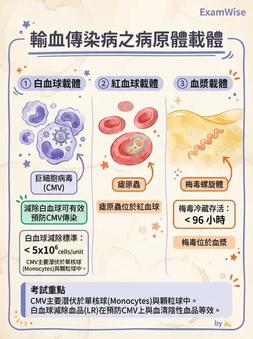 醫檢師 - 輸血反應與血庫品管 - AI 圖文解析預覽