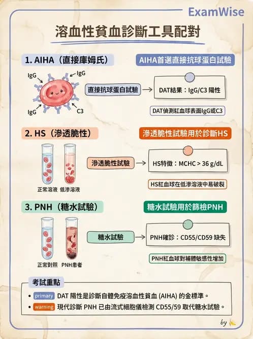 醫檢師 - 溶血性貧血與血色素病變 - AI 圖文解析預覽