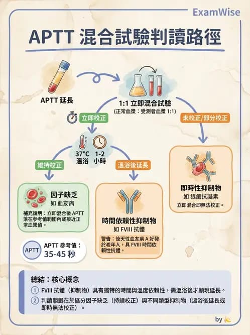 醫檢師 - 出血性疾病與檢驗 - AI 圖文解析預覽
