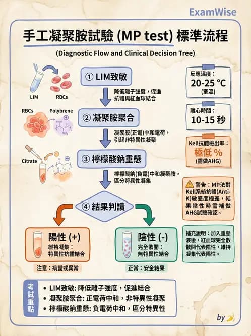 醫檢師 - 血液成分製備與輸血檢查 - AI 圖文解析預覽