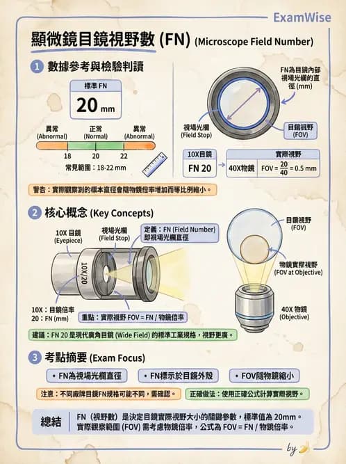 醫檢師 - 顯微鏡原理與操作 - AI 圖文解析預覽
