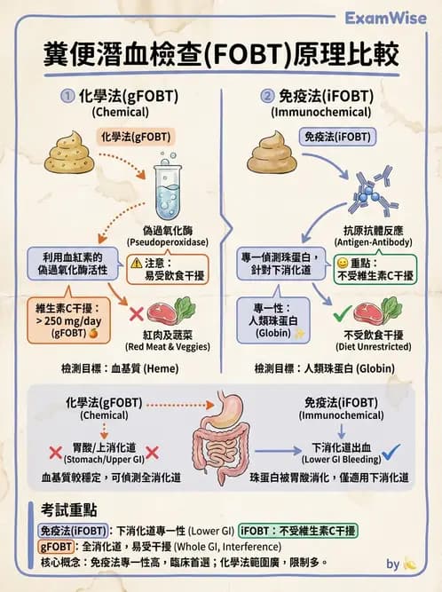 醫檢師 - 糞便常規檢查 - AI 圖文解析預覽
