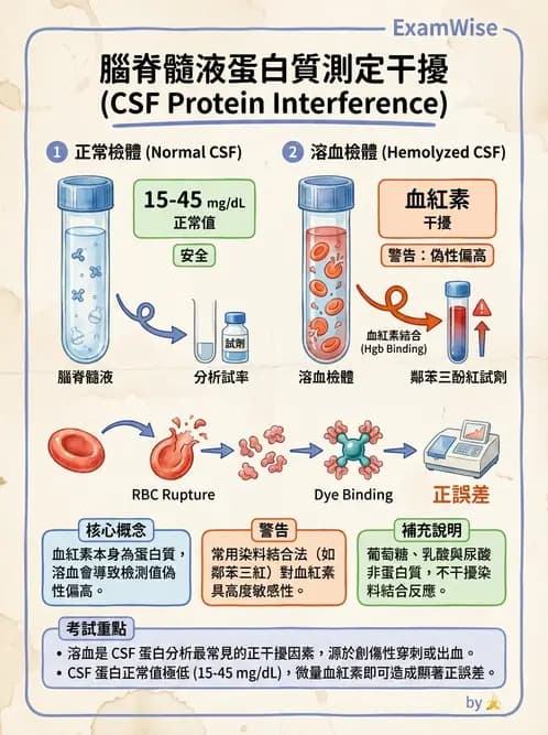 醫檢師 - 腦脊髓液檢查 - AI 圖文解析預覽