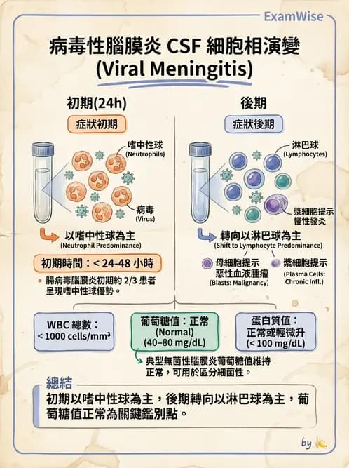 醫檢師 - 腦脊髓液檢查 - AI 圖文解析預覽