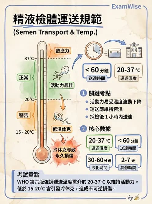 醫檢師 - 精液檢查 - AI 圖文解析預覽