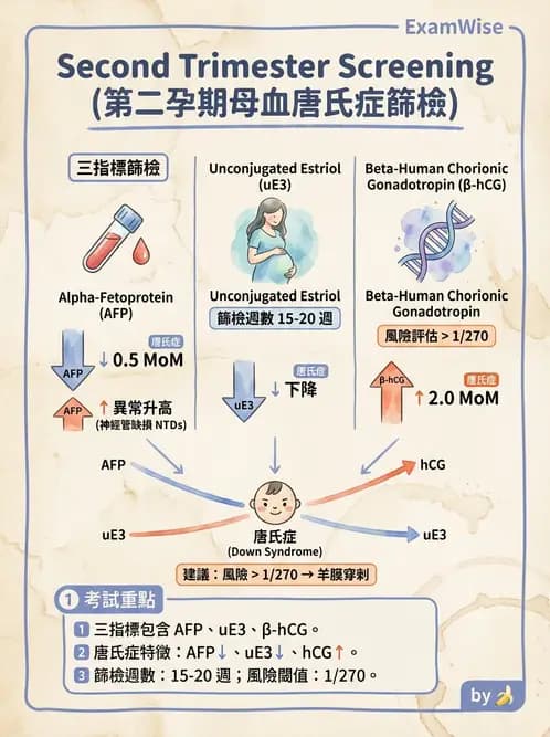 醫檢師 - 懷孕試驗 - AI 圖文解析預覽