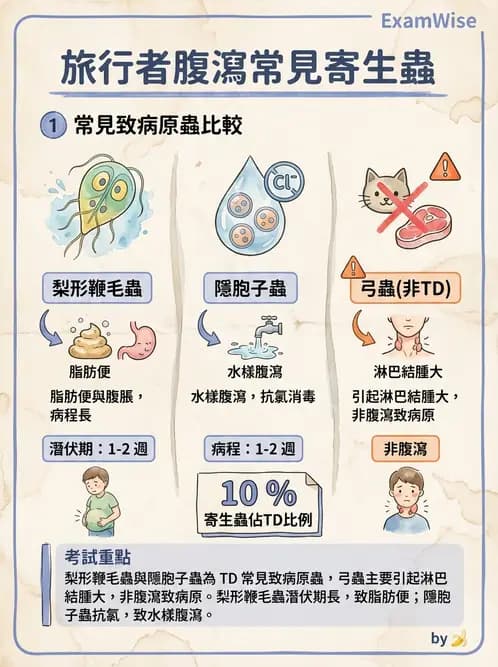 醫檢師 - 寄生蟲檢查-原蟲類 - AI 圖文解析預覽
