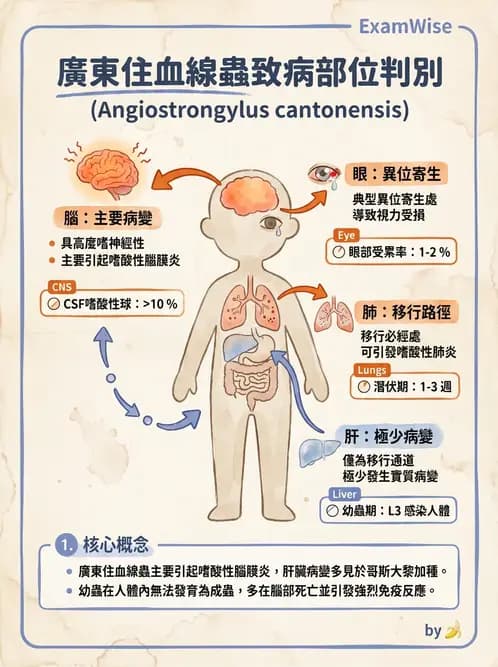 醫檢師 - 寄生蟲檢查-蠕蟲類 - AI 圖文解析預覽