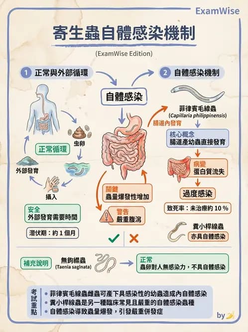 醫檢師 - 寄生蟲檢查-蠕蟲類 - AI 圖文解析預覽