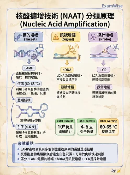 醫檢師 - 核酸擴增與萃取技術 - AI 圖文解析預覽