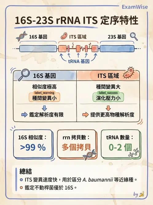 醫檢師 - 分子鑑定與應用技術 - AI 圖文解析預覽