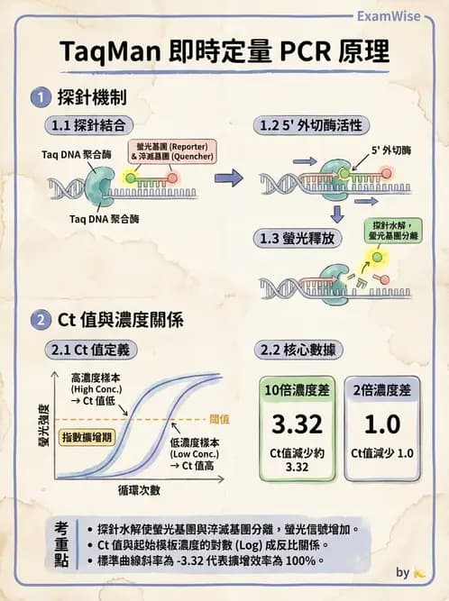 醫檢師 - 核酸擴增與萃取技術 - AI 圖文解析預覽
