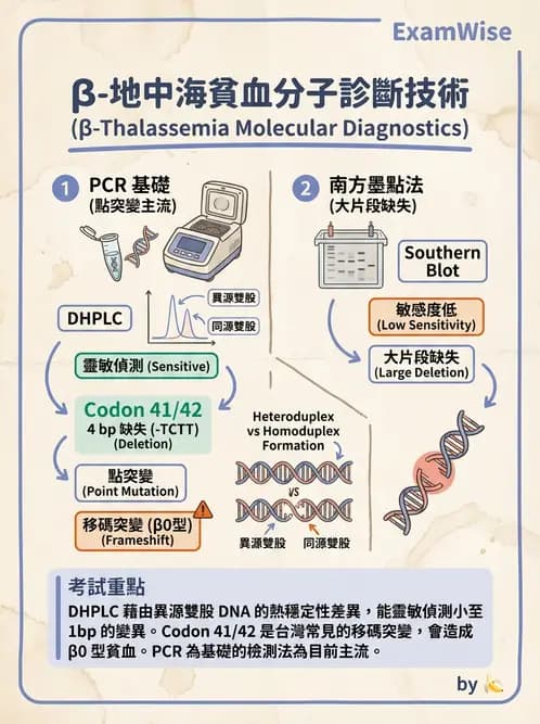 醫檢師 - 遺傳疾病基因檢測 - AI 圖文解析預覽