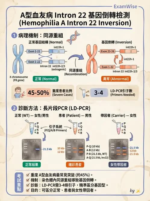 醫檢師 - 遺傳疾病基因檢測 - AI 圖文解析預覽