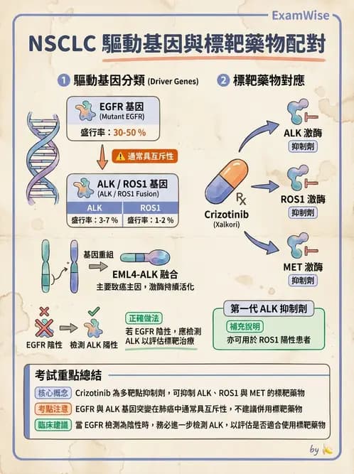 醫檢師 - 腫瘤疾病基因檢測 - AI 圖文解析預覽