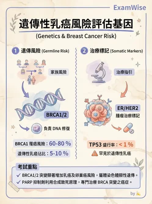 醫檢師 - 腫瘤疾病基因檢測 - AI 圖文解析預覽