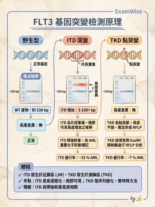 醫檢師 - 腫瘤疾病基因檢測 - AI 圖文解析預覽