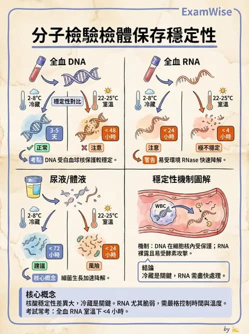 醫檢師 - 分子檢驗品質管理 - AI 圖文解析預覽