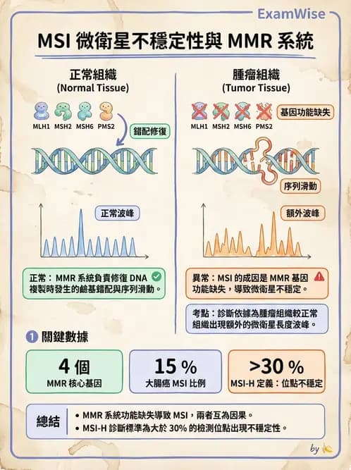 醫檢師 - 腫瘤疾病基因檢測 - AI 圖文解析預覽