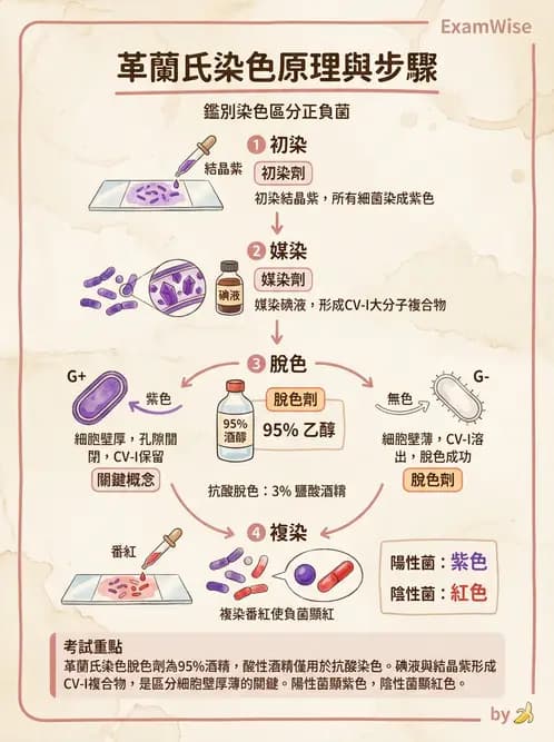 醫檢師 - 檢驗基礎技術 - AI 圖文解析預覽