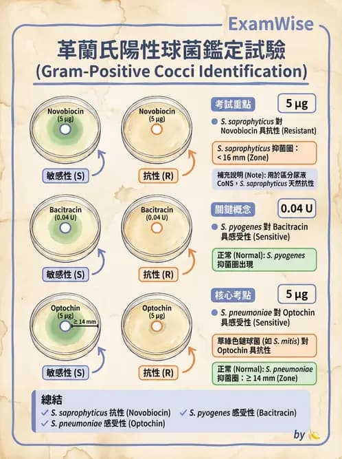 醫檢師 - 綜合性試題 - AI 圖文解析預覽