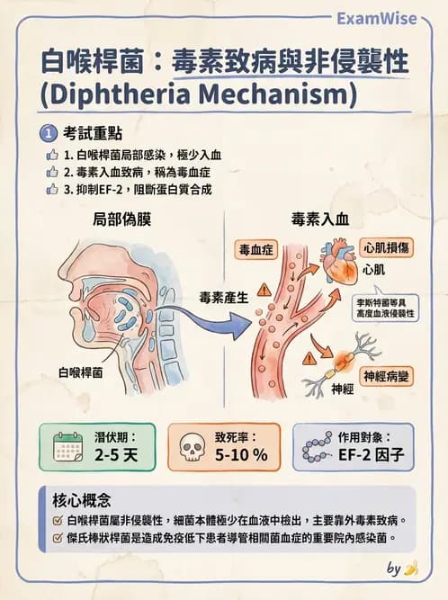 醫檢師 - 綜合性試題 - AI 圖文解析預覽