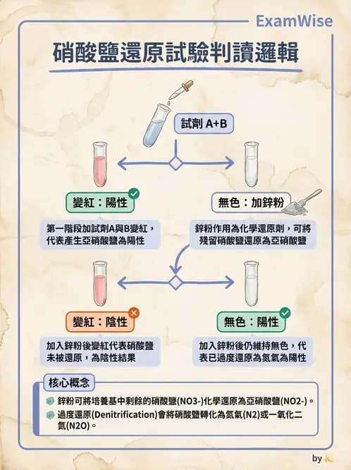 醫檢師 - 腸內菌鑑別方法與培養基 - AI 圖文解析預覽