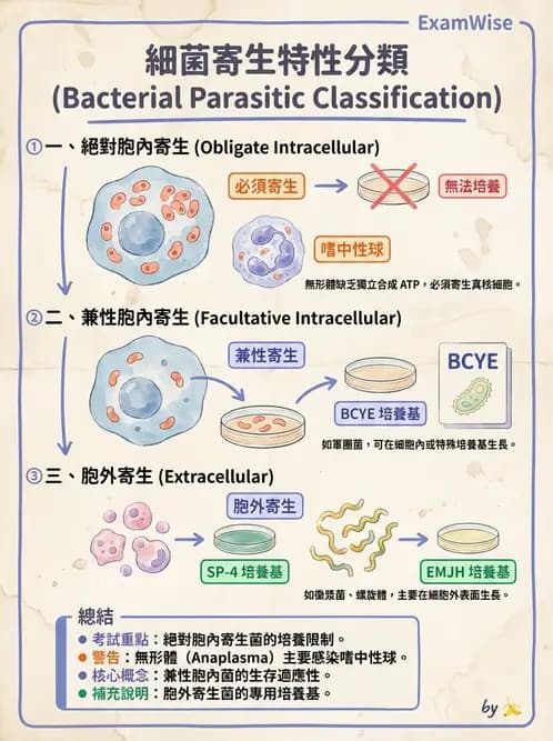 醫檢師 - 特殊病原體 - AI 圖文解析預覽