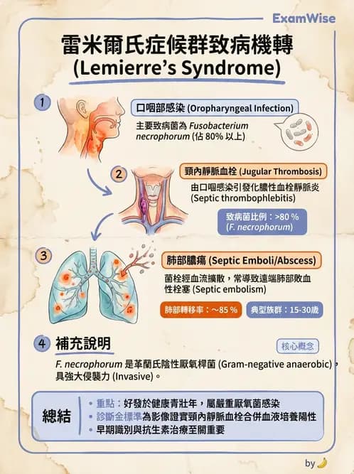醫檢師 - 厭氧菌 - AI 圖文解析預覽
