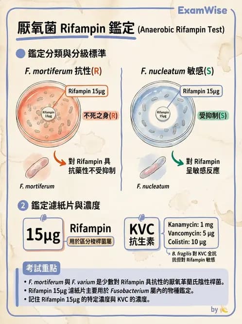 醫檢師 - 厭氧菌 - AI 圖文解析預覽