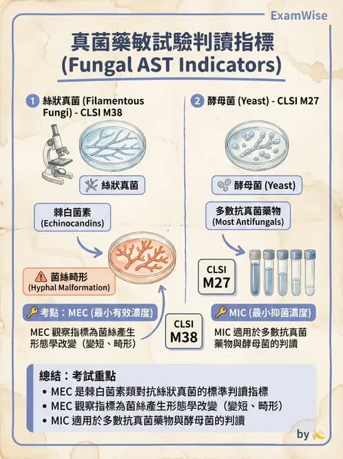 醫檢師 - 真菌診斷與治療 - AI 圖文解析預覽