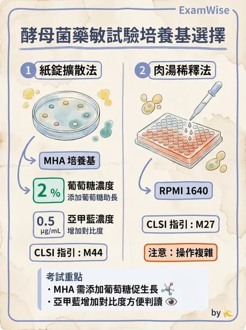 醫檢師 - 真菌診斷與治療 - AI 圖文解析預覽